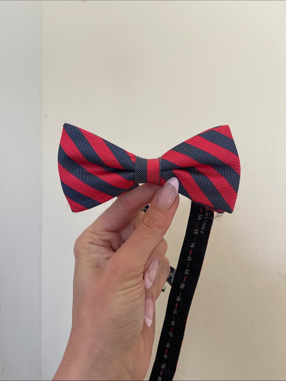 Wembley Navy and Red Diagonal Stripe Bow Tie